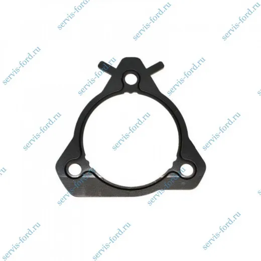 Прокладка ТНВД Ford Transit с 2000 028211 // 1094599 // 1225037
