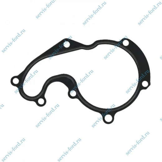 Прокладка насоса водяного железная Ford Transit Connect 703630200