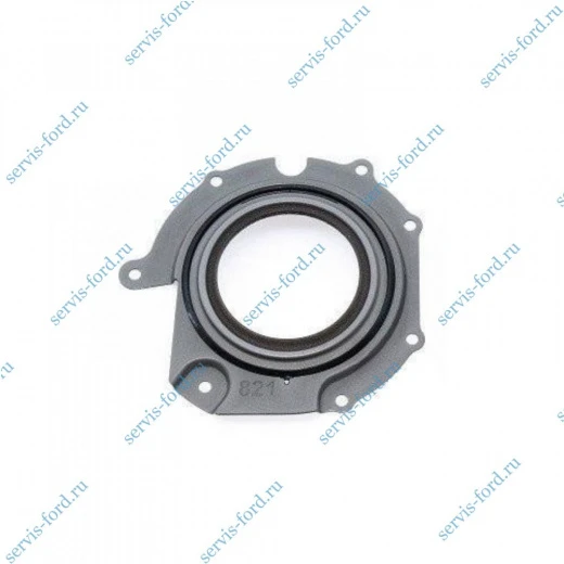 Сальник ТНВД Ford Transit Connect 819003100