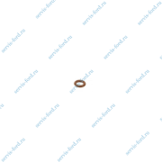 Кольцо уплотнительное форсунки. 1818145/6002ER1003