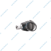 ����� �������, � 2008. 716 010 0019