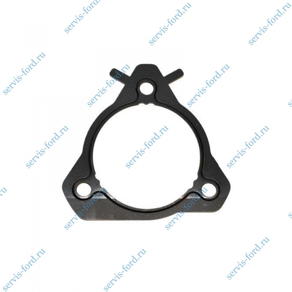 Прокладка ТНВД Ford Transit с 2000 028211 // 1094599 // 1225037