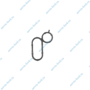 Прокладка теплообменника Ford Transit FWD с 2011 1843549