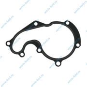 Прокладка насоса водяного, железная Ford Transit Connect 703630200