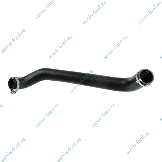 Патрубок интеркуллера R Ford Transit 2,4 с 2006 по 2014 3336058