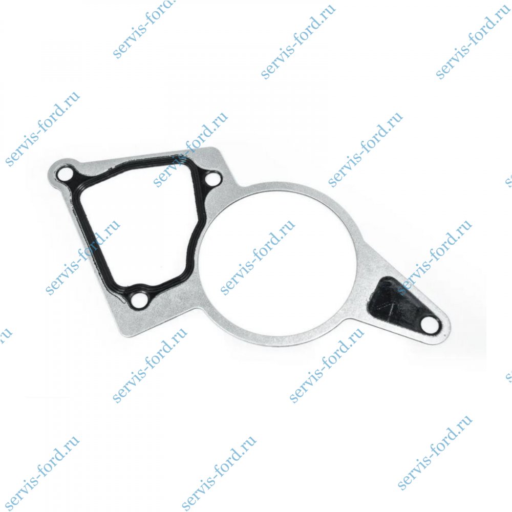 Прокладка насоса вакуумного Ford Transit с 2006 1731754