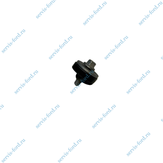 Болт с уплотнением клапанной крышки Ford Transit Connect 1.8 TDCI 1719136