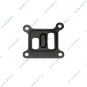 Прокладка насоса водяного Ford Transit 2000-2006 FWD 703603800