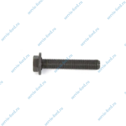 Болт крепления коленвала Ford Transit Connect 1.8D 1139286