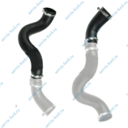 �������� ������������ L � 2014 2168125 // BSG30720189