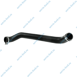 Патрубок интеркуллера R Ford Transit 2,4 с 2006 по 2014 3336058