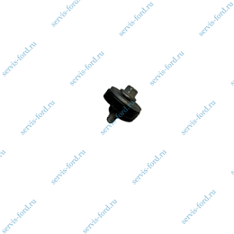 Болт с уплотнением клапанной крышки Ford Transit Connect 1.8 TDCI 1719136